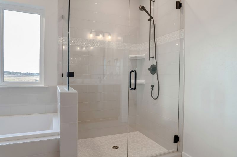 Sleek Black Framed Shower Door
